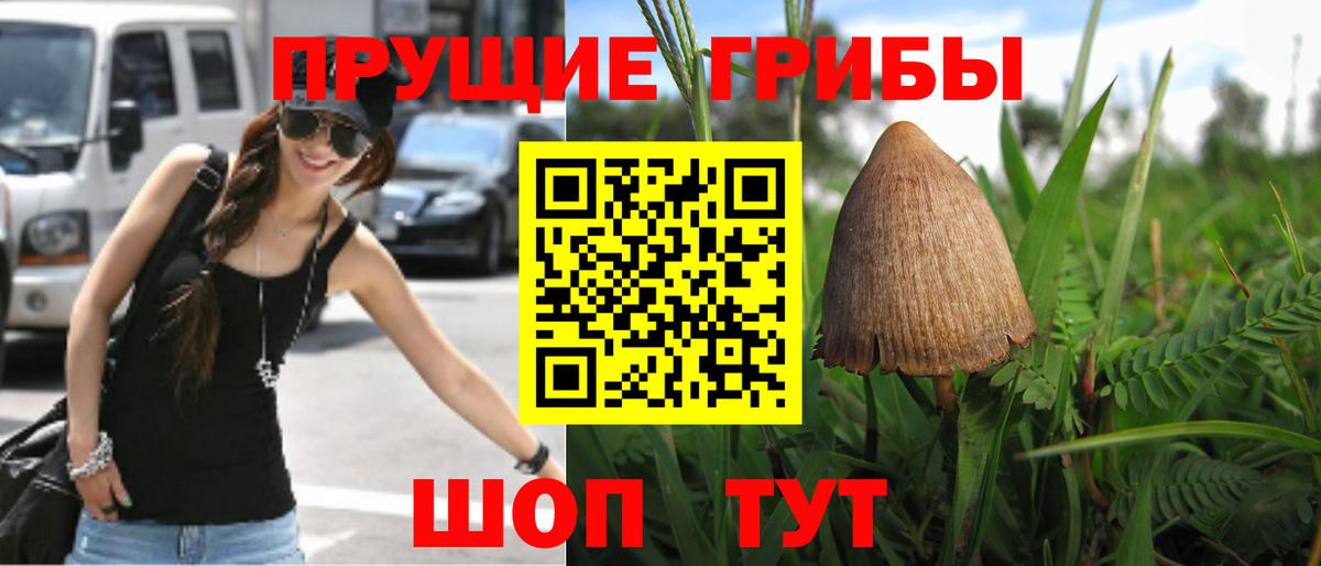 Галлюциногенные грибы мицелий Белая Калитва